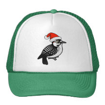 Red-cockaded Woodpecker Santa Hat
