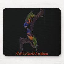 Red Collared Lorikeets mousepad