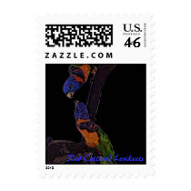 Red Collared Lorikeets stamp
