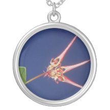 Red Collettii (Bulbophyllum) flowers Necklaces