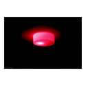 Red-color Bulb posters