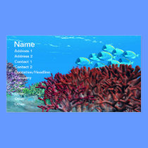 RED CORAL BUSINESS CARD business cards