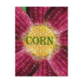 Red Corn Pattern postcard