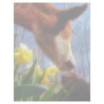 Red Cow and Yellow Daffodils Custom Letterhead