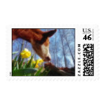 Red Cow and Yellow Daffodils postage