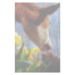 Red Cow and Yellow Daffodils Stationery Design