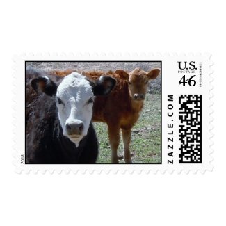 Red Cow, Black & White Cow zazzle_stamp