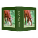 Red Cow in the Green Meadow binders