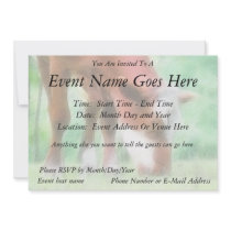 Red Cow in the Green Meadow Invite