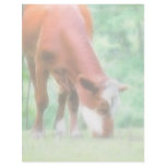 Red Cow in the Green Meadow Letterhead Design