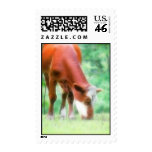 Red Cow in the Green Meadow postage