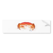 Red Crab bumper stickers
