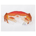 Red Crab Flyer