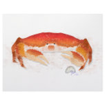 Red Crab Letterhead Design