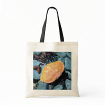 Red Crab Shell 1 Bag