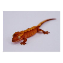 Red Crested Gecko Business Card Template