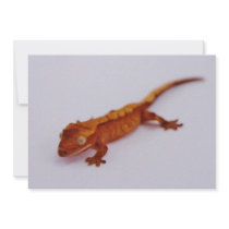 Red Crested Gecko Personalized Invite
