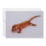 Red Crested Gecko Personalized Invite