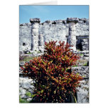 Red Croton Bush At Mayan Ruins, Tulum Card
