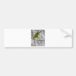 Red Crowned Parrot Bumper Stickers