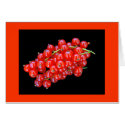 Red Currant Berry cards