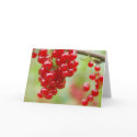 Red Currant Blank Note Card by pulsDesign Red Currant Blank Note Card