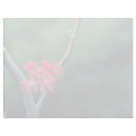 Red Currant Blossoms flowers Custom Letterhead