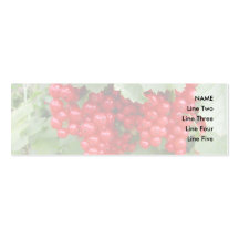 Red Currants on the Plant. Green Leaves. Business Card Template