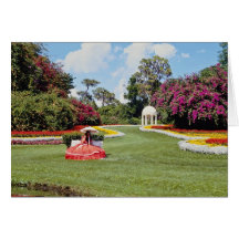 Red Cyprus Gardens, Florida, U.S.A. flowers Greeting Cards