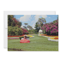 Red Cyprus Gardens, Florida, U.S.A. flowers Custom Announcements
