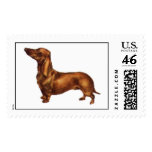 Red Dachshund postage
