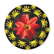 Red Dahlia (Bishop of Llandaff) - v2 Refrigerator Magnet
