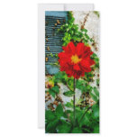 Red Dahlia By Window Rack Cards