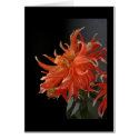 Red Dahlia cards