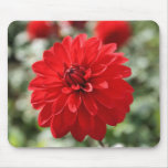 Red Dahlia Mouse Pad