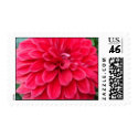 Red Dahlia postage by stampingsarah Red Dahlia postage