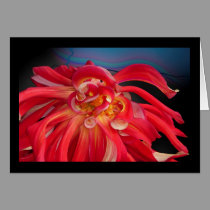Red Dahlia: www.GraceArtGroup.com cards