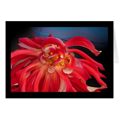 Red Dahlia: www.GraceArtGroup.com Greeting Card by SarahJCurtiss