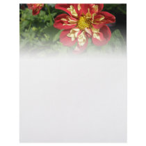 Red Dahlias Customized Letterhead