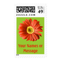 Red Daisy Flower Custom Name/Text Postage