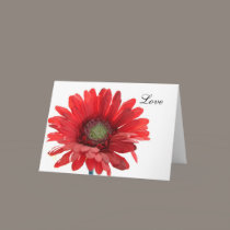 Red Daisy Flower I Love You Forever cards