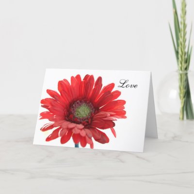 i love you forever pictures. Red Daisy Flower I Love You