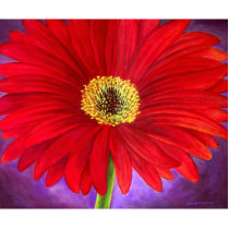 Red Daisy Flower Painting Art Photo Sculpture photo sculptures by JUDERM Red Daisy Flower Painting Art Photo Sculpture photo sculptures
