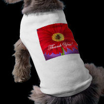 Red Daisy Flower Painting - Multi pet clothing