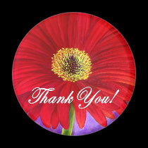 Red Daisy Flower Painting - Multi magnets by JUDERM Red Daisy Flower Painting - Multi magnets