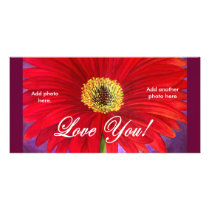 Red Daisy Flower Painting - Multi photo cards