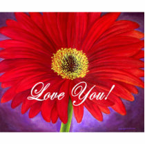 Red Daisy Flower Painting - Multi Acrylic Cut Out