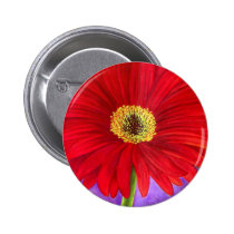 Red Daisy Gerber Flower Painting Art - Multi buttons