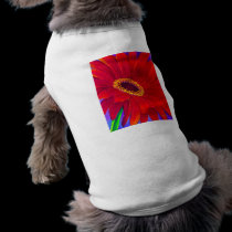 Red Daisy Gerber Flower Painting Art - Multi pet clothing