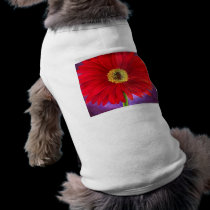 Red Daisy Gerber Flower Painting Art - Multi pet clothing